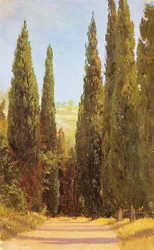 Allée de cyprès en Crimée
